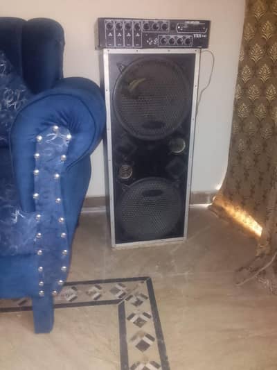 10" woofers with hand made Amplifier