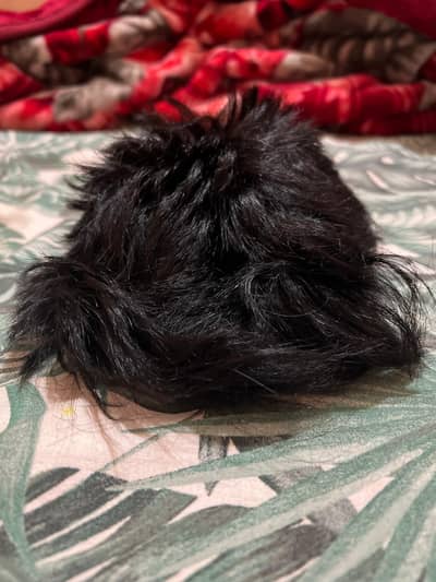 HAIR CLIPS ADJUSTABLE WIG