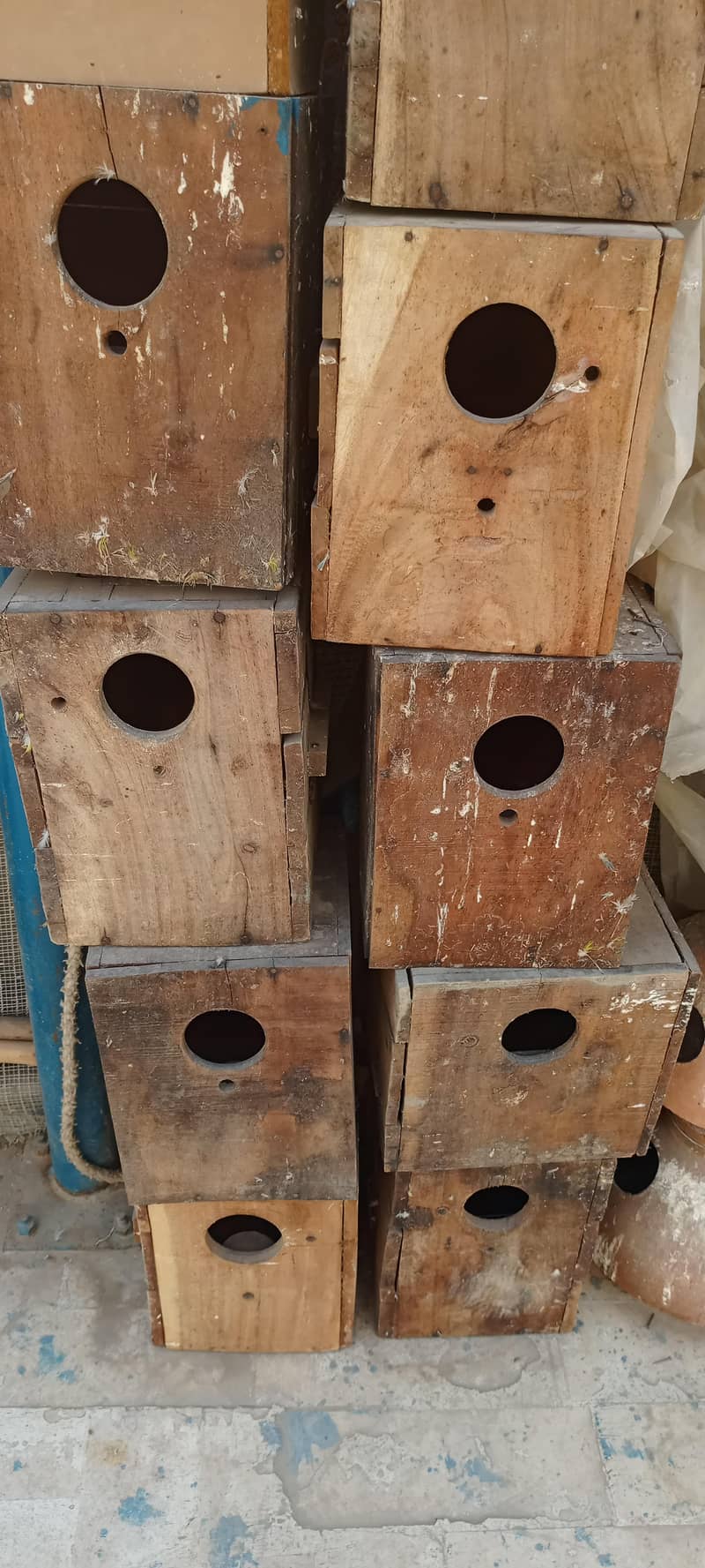 Breeding Boxes 0
