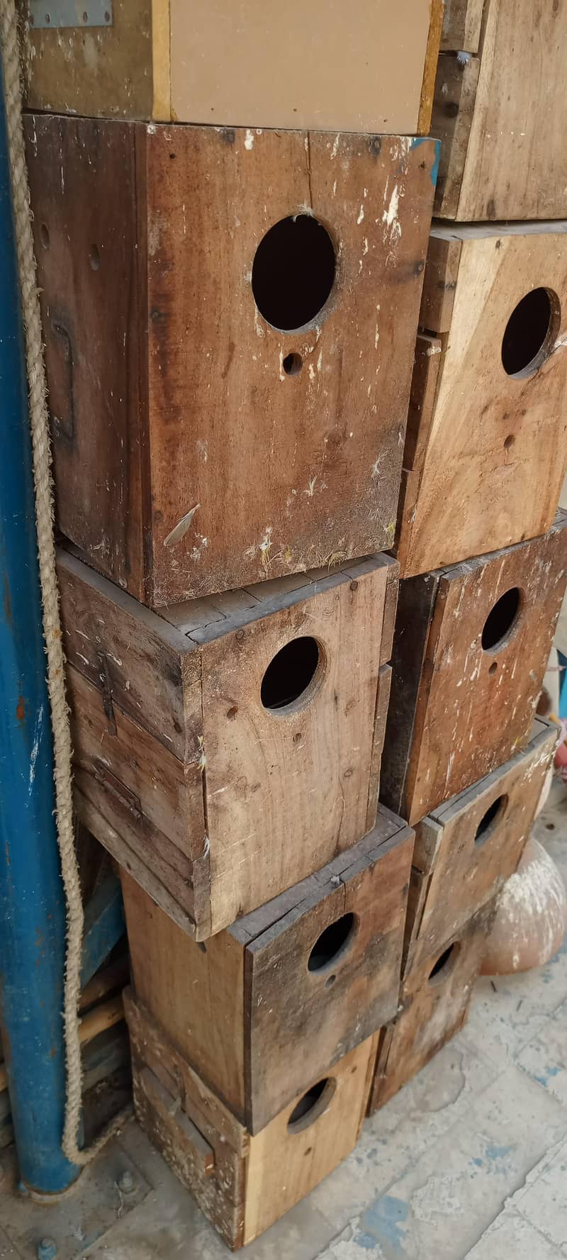 Breeding Boxes 1