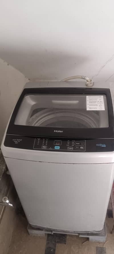 10.10 candishan total janwan