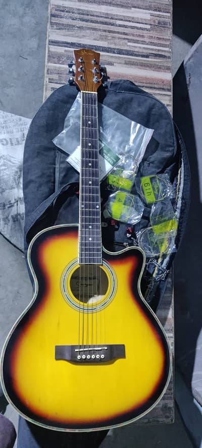 Acoustic Guitar Made By USA