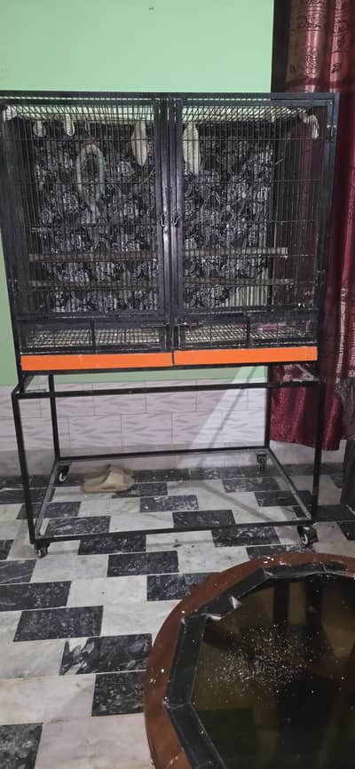 birds cages
