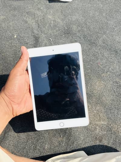 Apple ipad mini 5 256gb
