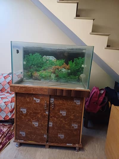 Fish Aquarium