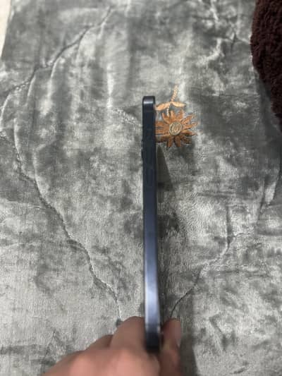 15 pro max water pack