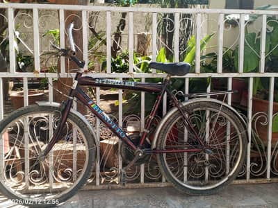 24 inches bonotto 21 speed Tb bycical