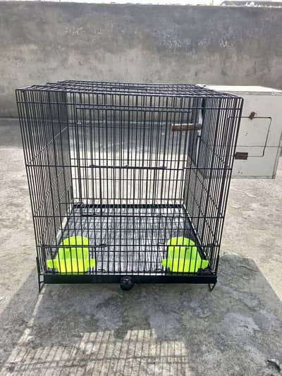 Birds Cage