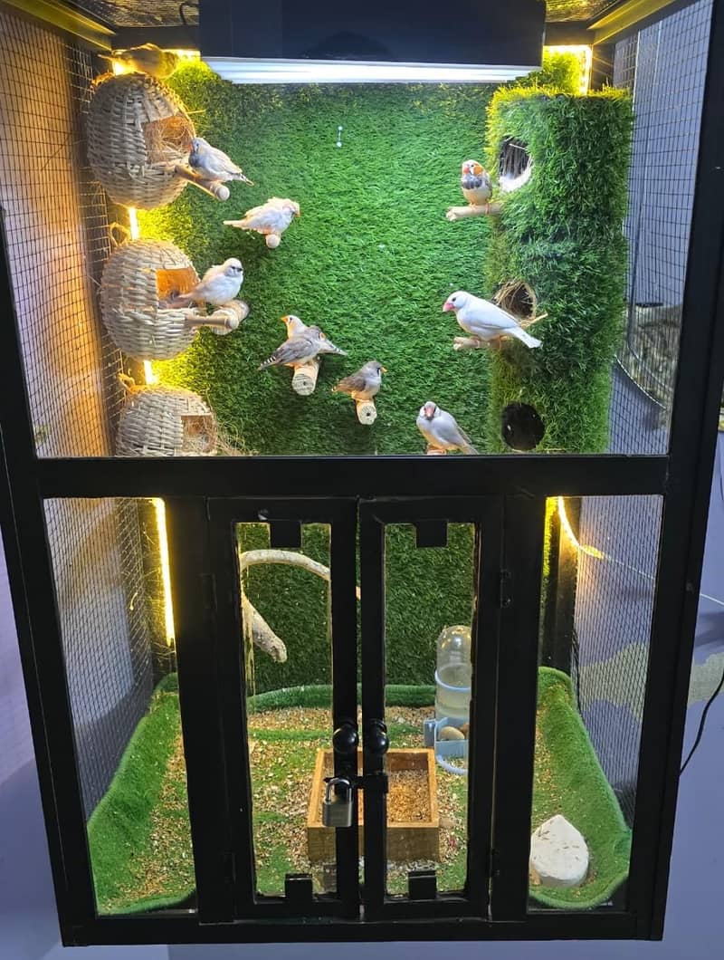 handmade fancy pinjra (cage) for sale - Cages, Crates & Doors - 1111299916