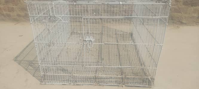 Paroot/Hen's/Rabbit/Dog/cat Any way