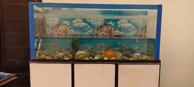 Fish Aquarium  4.5 feet