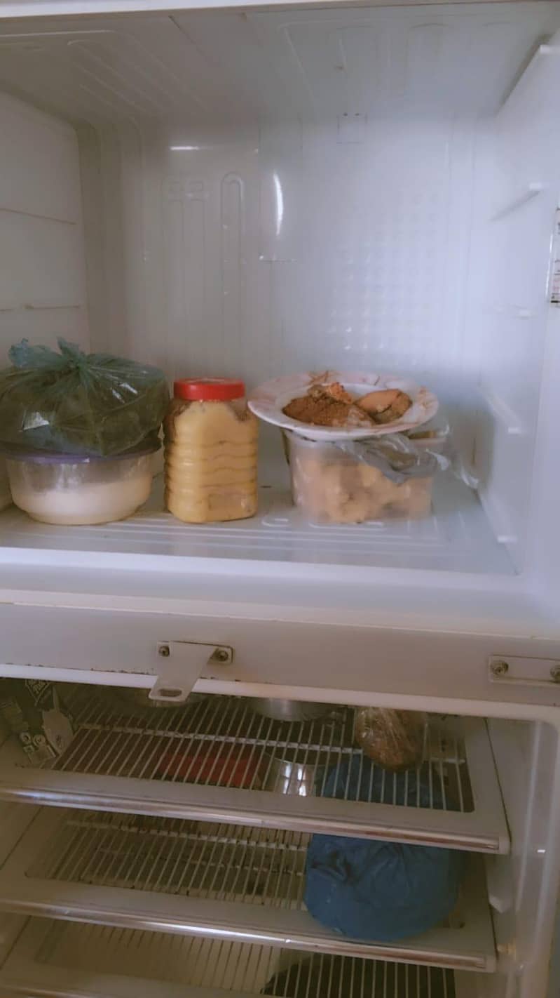 Fridge 3