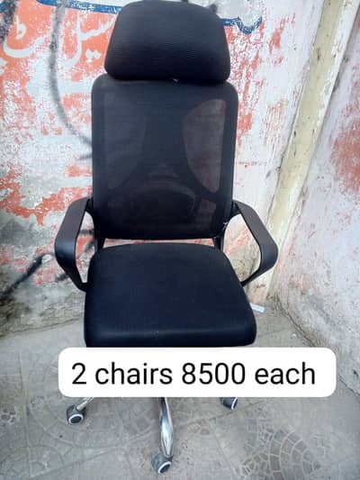 Computer Chairs//Executive Chairs//Visitor Chairs//Office Chairs