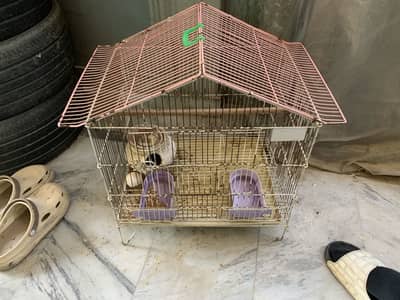 Big cage for parrots only 3k