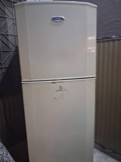 Haier fridge full size