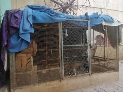 iron big cage for birds