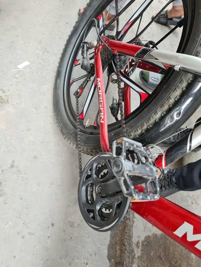 Brand New Morgan Cycle