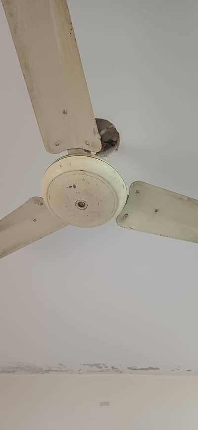 2 celling fans for sale