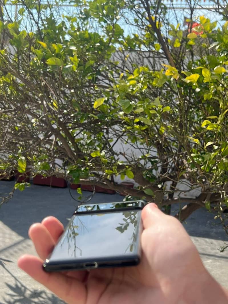 Google pixel 6 pro 15