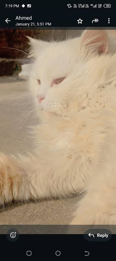 triple code detail mere WhatsApp number per 03405745472