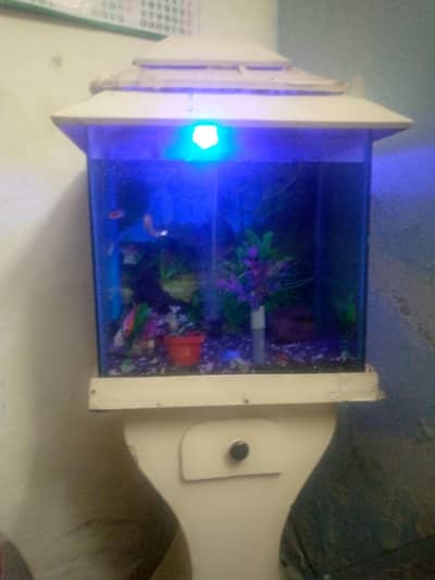 Fish Aquarium for sale