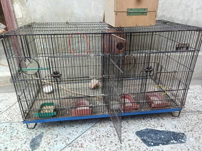 cages for sale