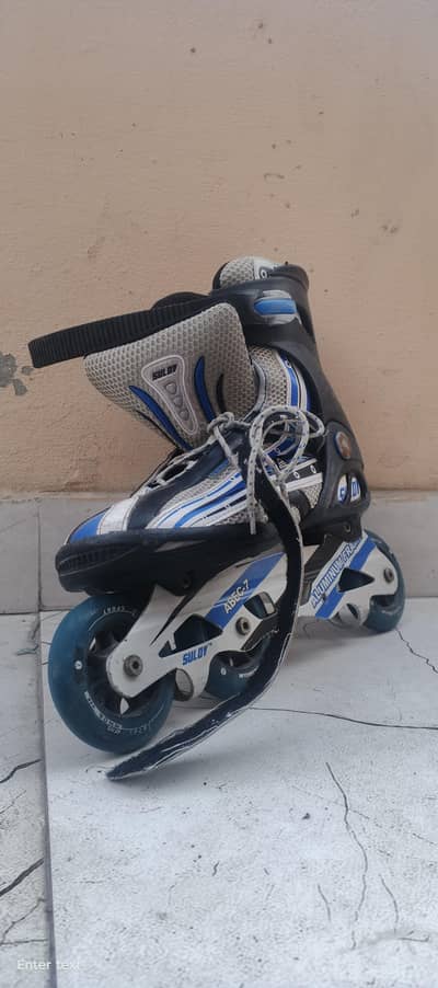 SPORTS Scating Shoes Imported shoes (sulov).