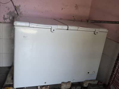 Haier D Freezers