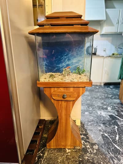 Wooden Stand Aquarium with Glass Tank
