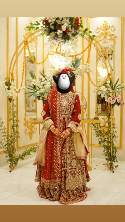 Mehroon Bridal lehenga