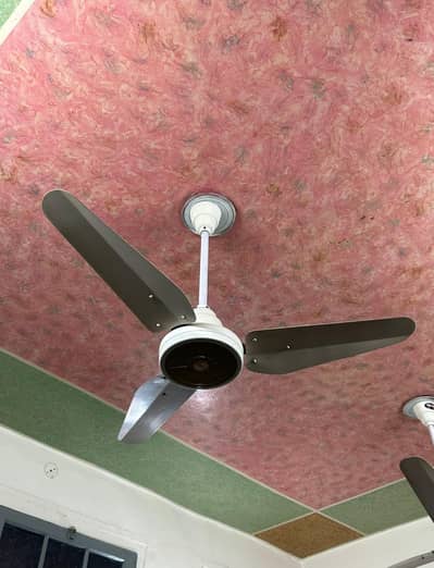 Lahore Fans (4 Fans Available) and 1 Fridge Available