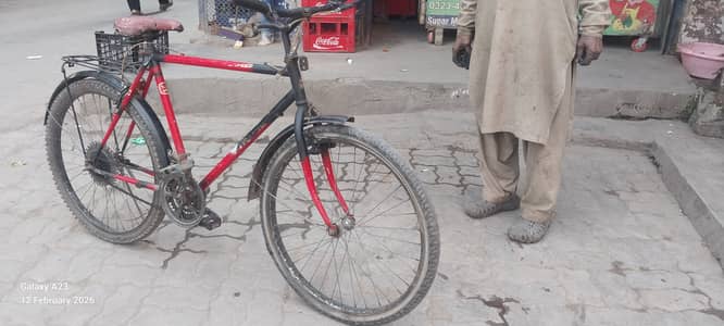 Phoenix Bicycle For Sale