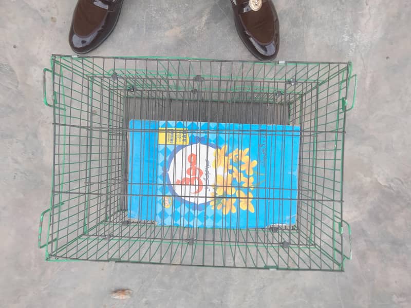 cargo cage 1