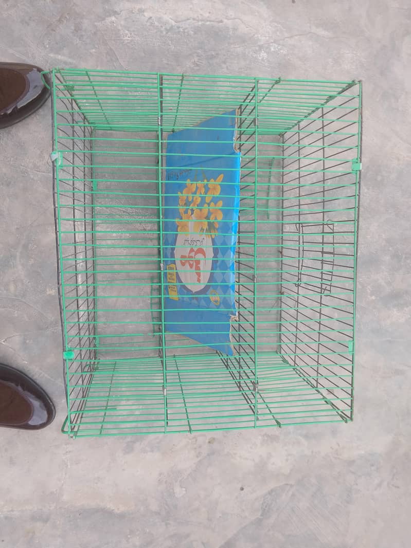 cargo cage 2