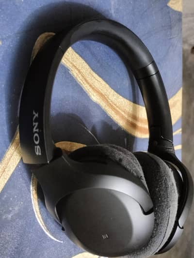 Sony WH-H910N Headphones