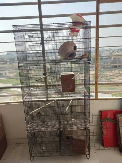 8 Portion Folding Cage