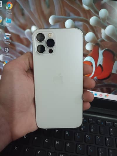 i phone 12 pro Non pta