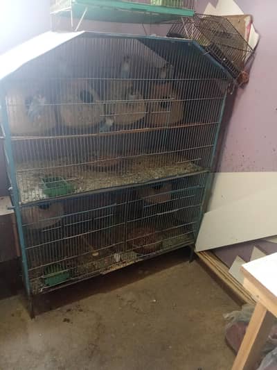 3 portion cage