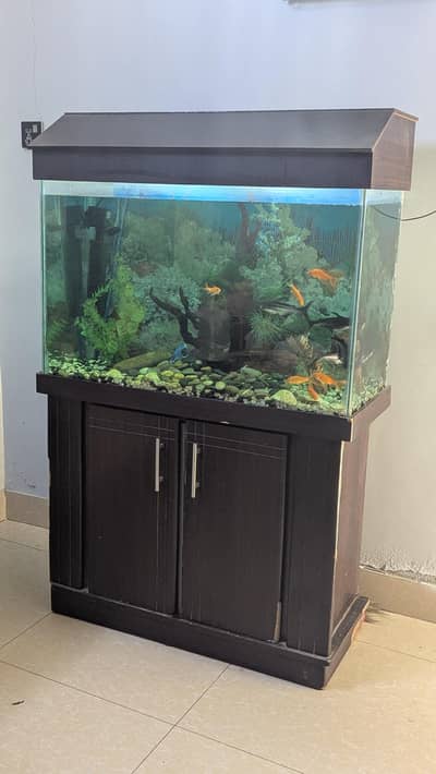 selling fish with equraium