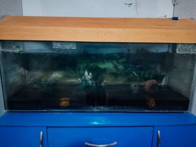 Resident Items with Good Condition