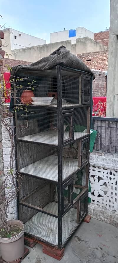 parrots cage