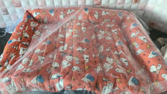 Cat bed & Brush just like new