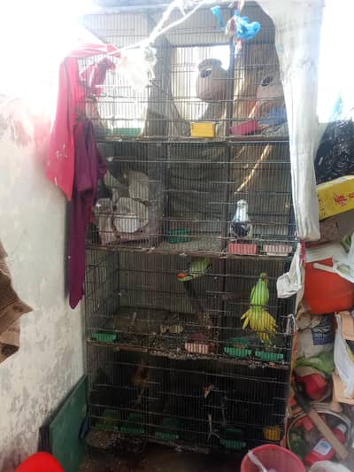 sref pinjra sale karna ha