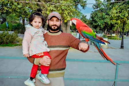 office boy saleman ridar suparvizar