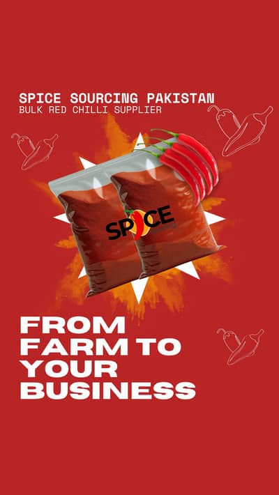 wholesale kunri red chilli - premium Quality | Bulk Supplier