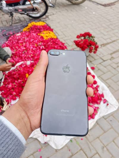 I phone 7 plus pta