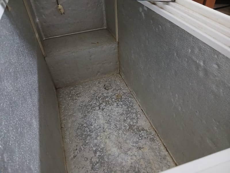 waves deep freezer 12