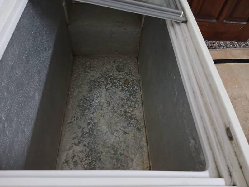 waves deep freezer 13