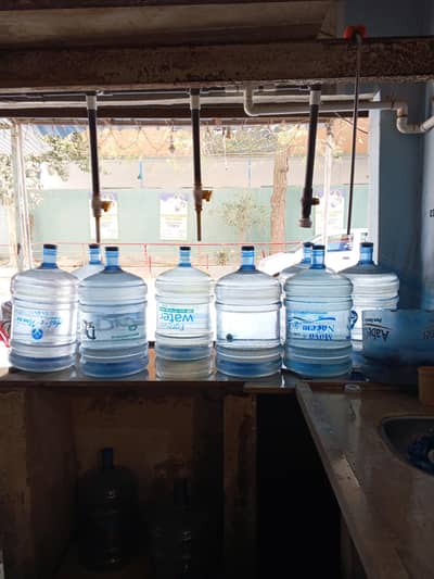 water plant urgent sale 03117335895