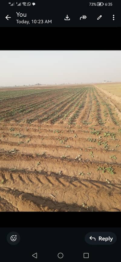 Agricultural land  (all cultivated) for sale